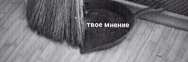 maizevol's profile banner image
