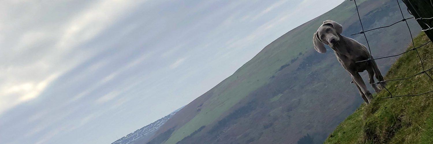 seancutler10's profile banner image