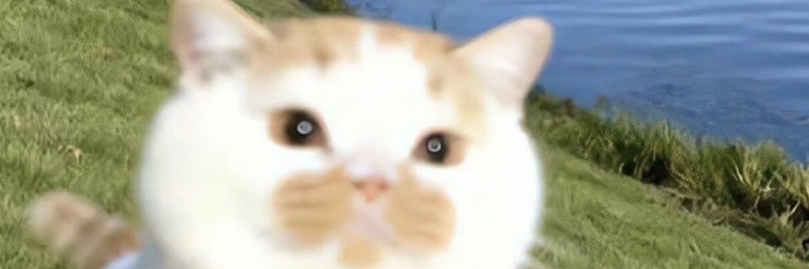 dumb_bbbbb's profile banner image