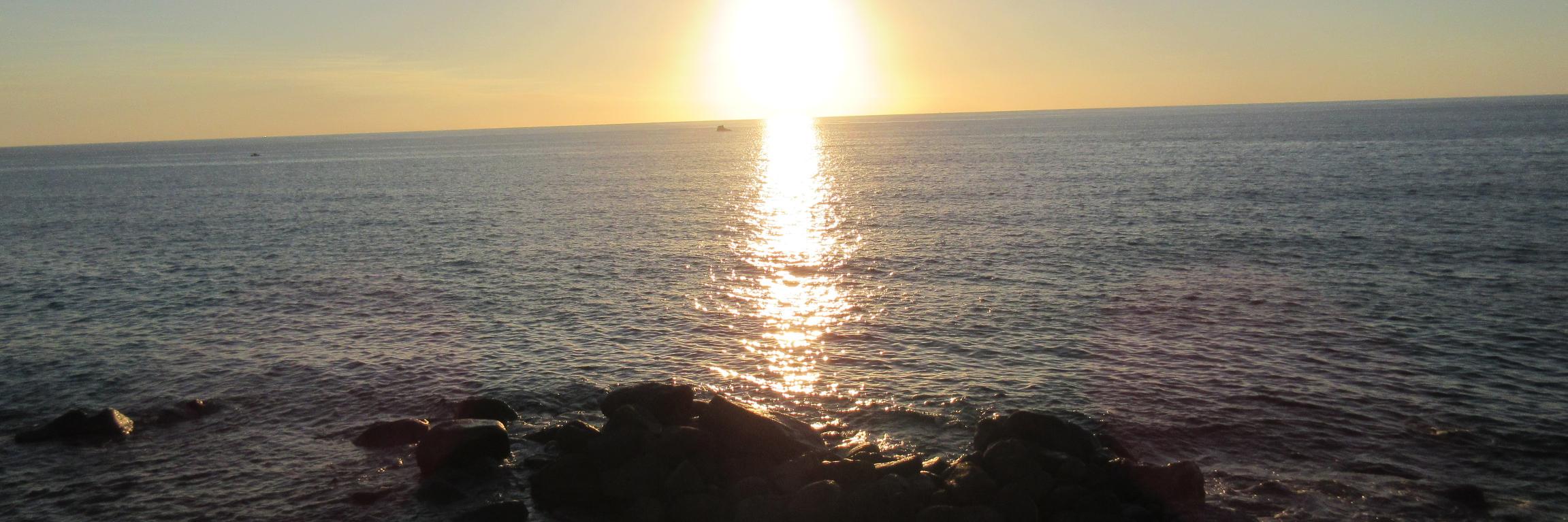 Blumeide09's profile banner image