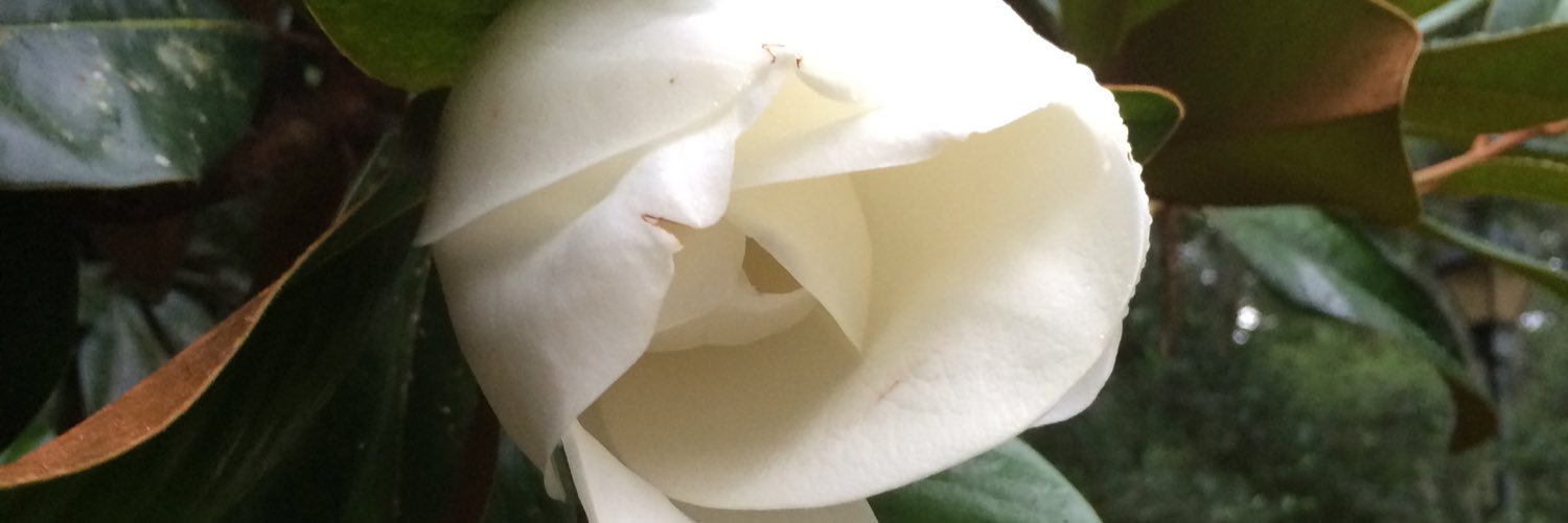 JLKennedy5's profile banner image