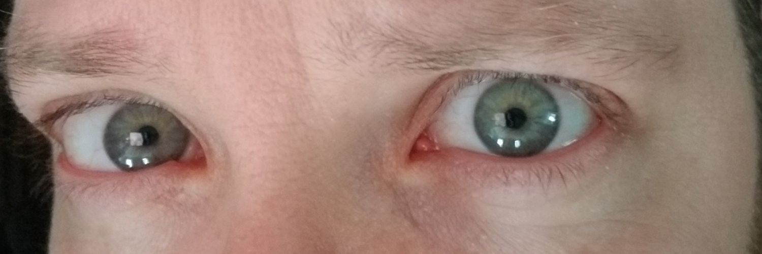 reddarkbird's profile banner image
