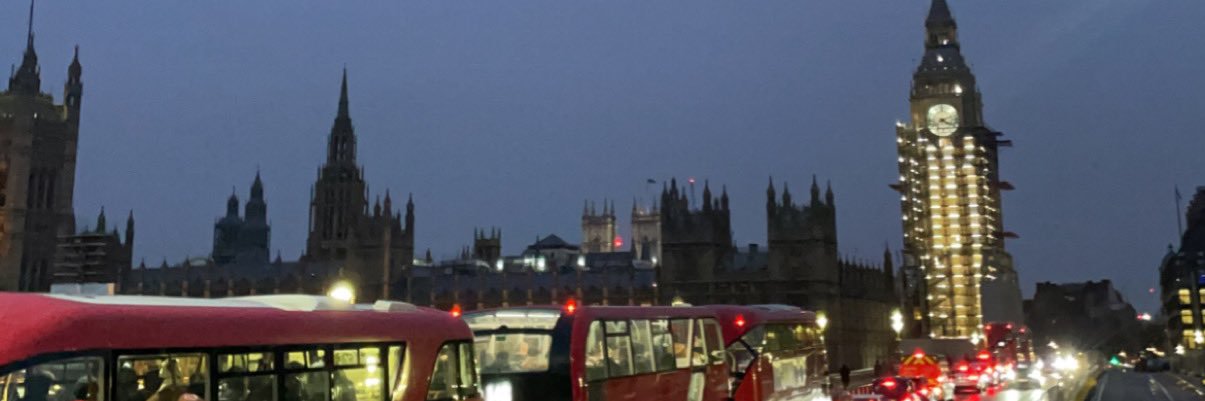 LamisMemish's profile banner image