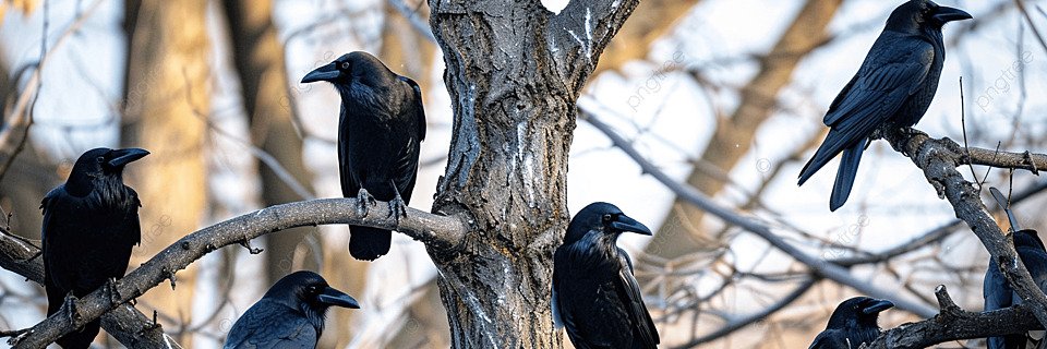 ((( NOTE OF THE DAY ))) banner