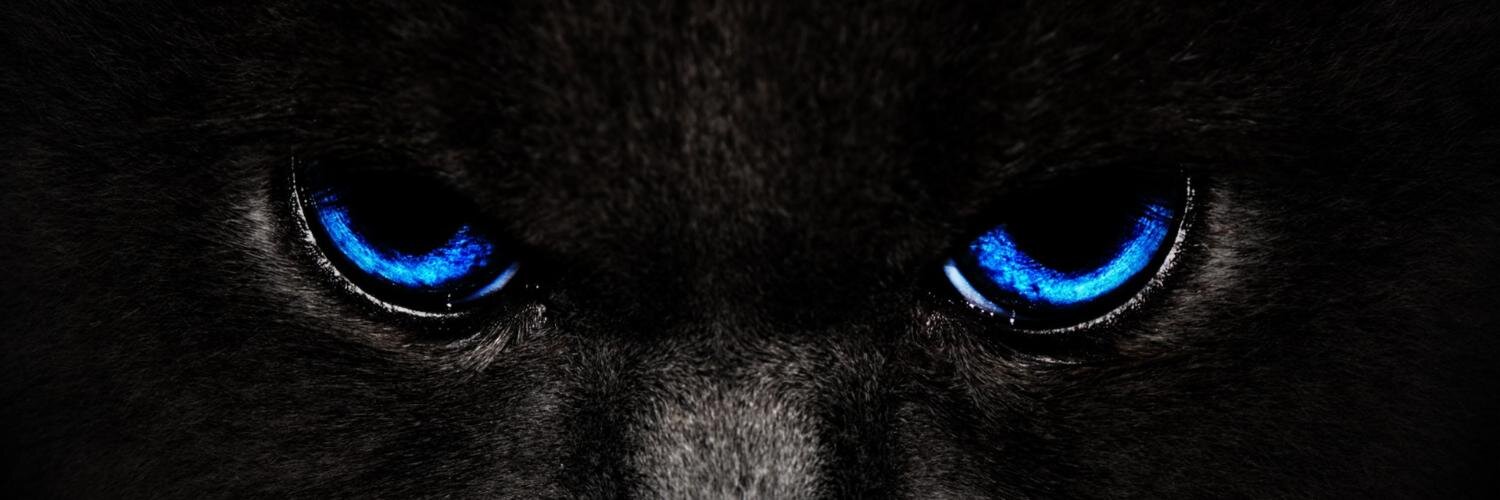 joeyudis's profile banner image