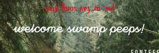 swampca's profile banner image