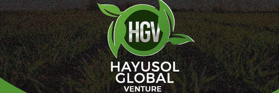 Hayusol's profile banner image