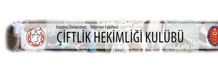 iuvetchk's profile banner image