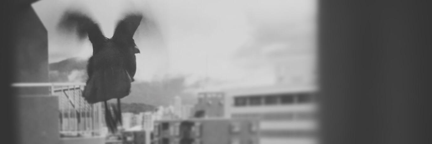 cheliy24's profile banner image