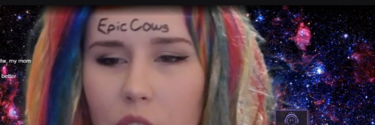 TheEpicCows's profile banner image