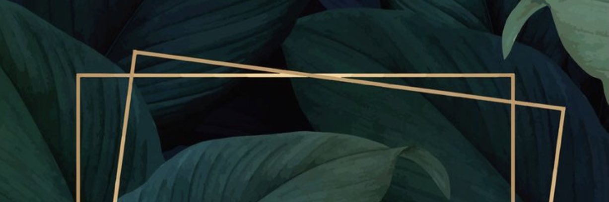 RodriiAB95's profile banner image