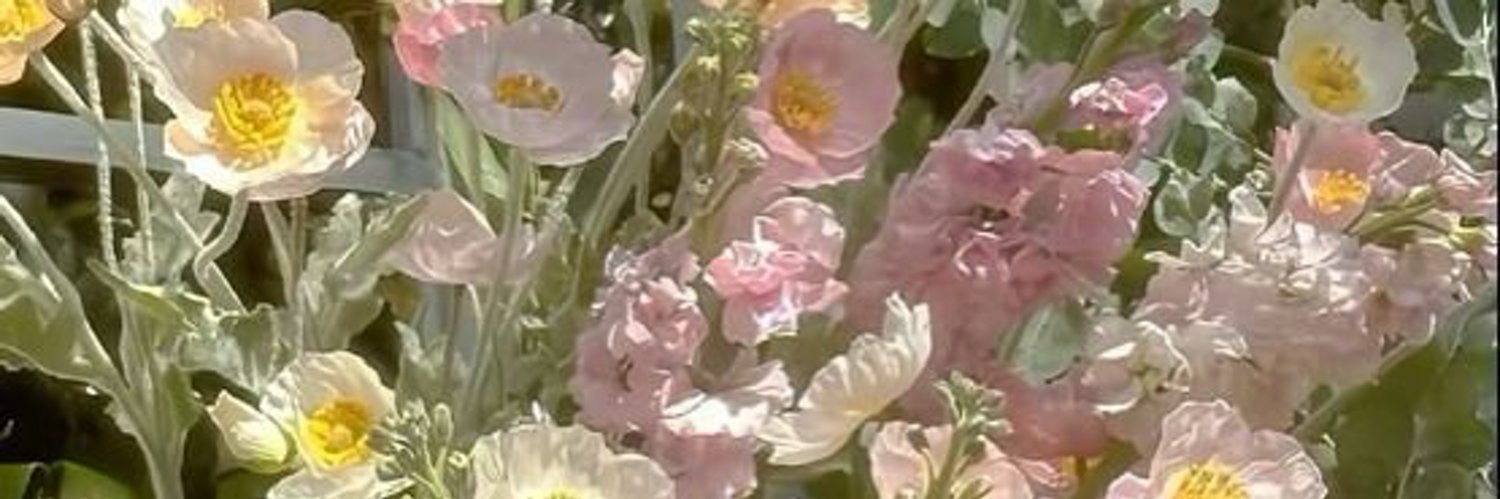 emmmsa11's profile banner image