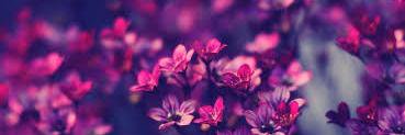 marrwaM's profile banner image