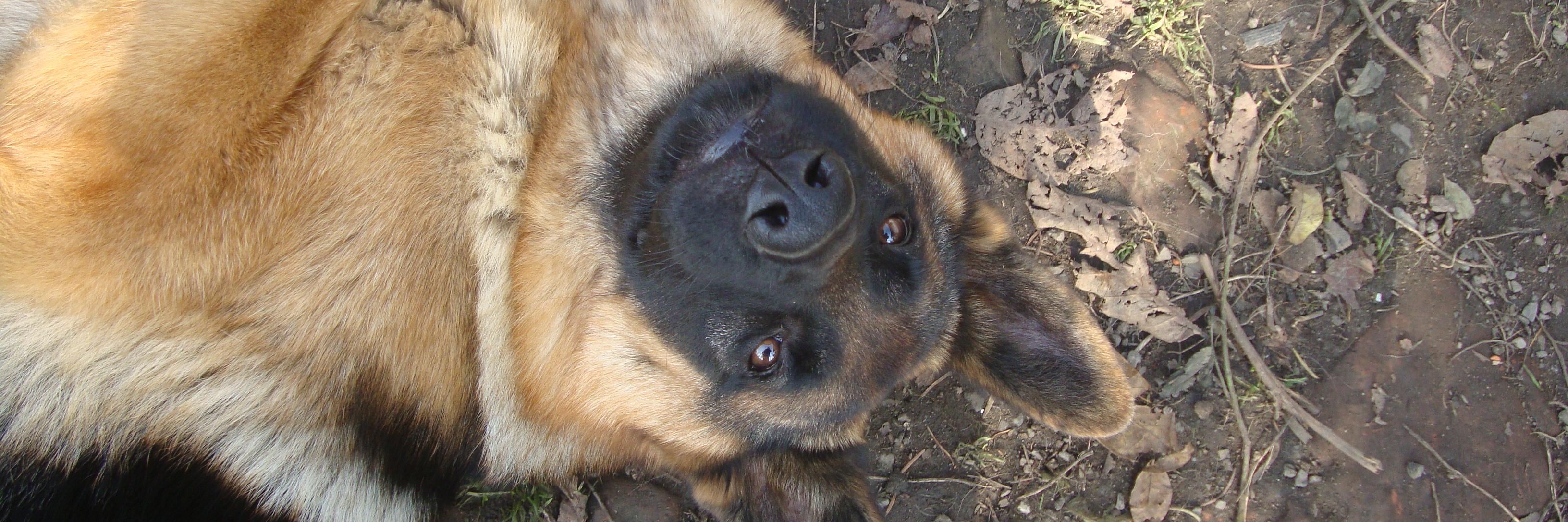 TerkaMroza's profile banner image