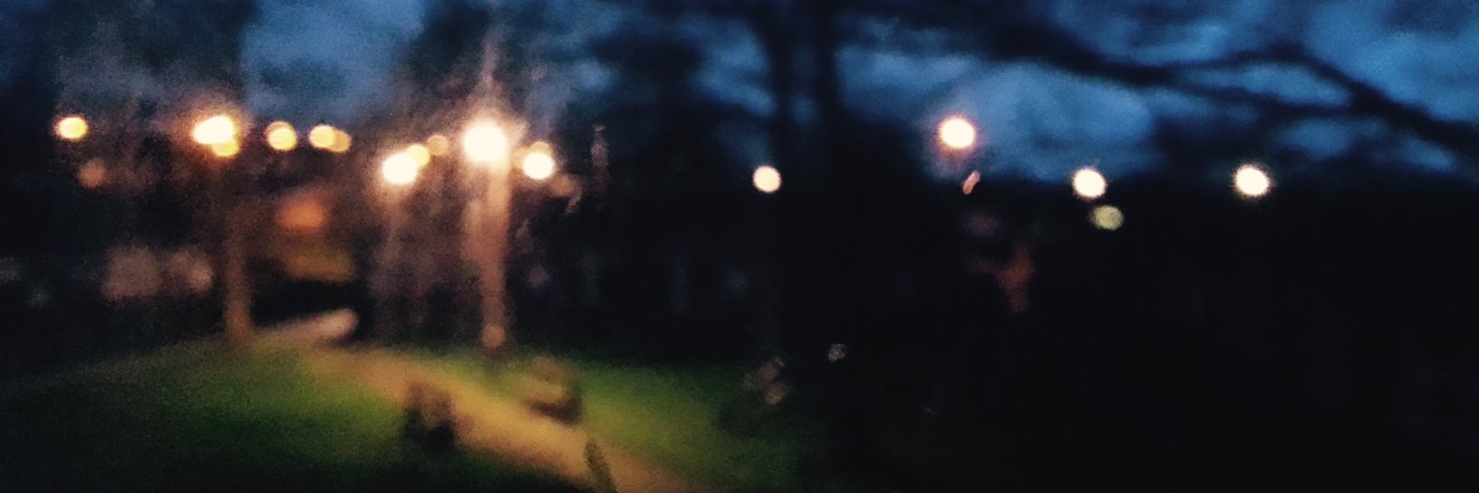 plimczak's profile banner image