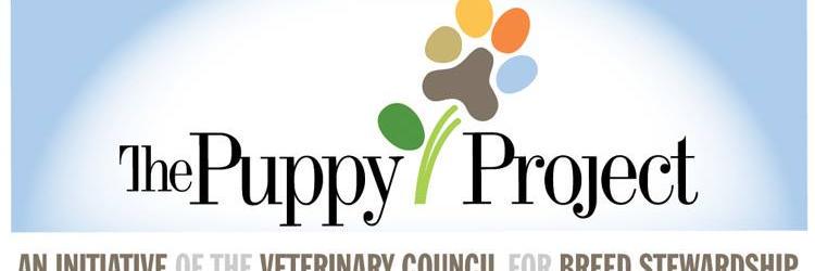 The Puppy Project (@puppy_project) / Posts / X