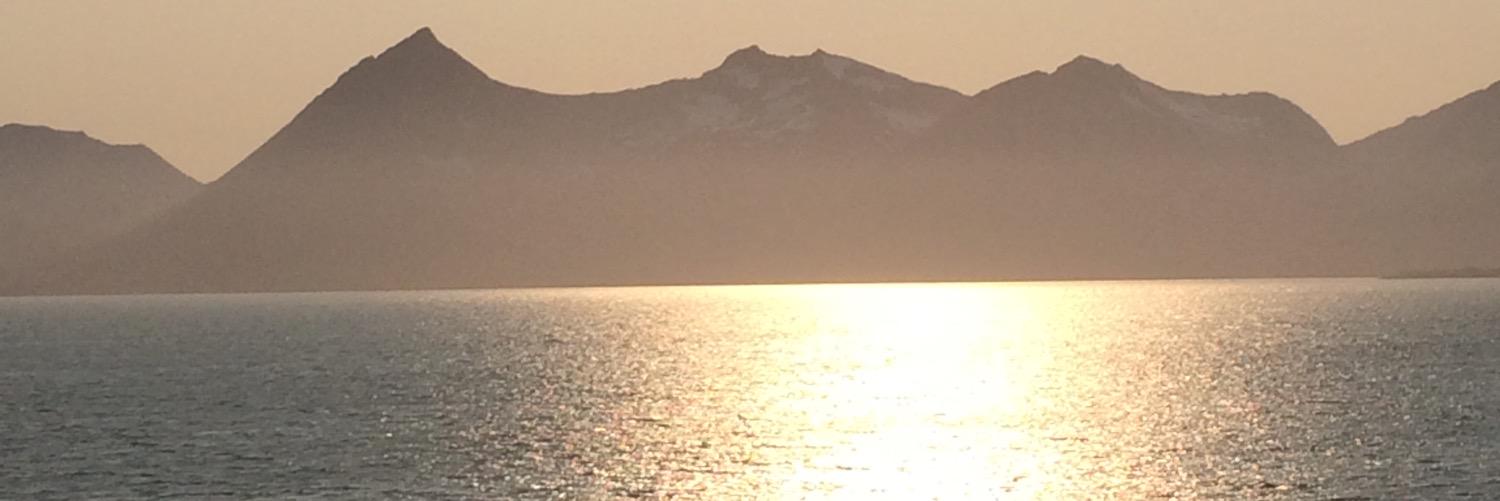 roar46's profile banner image