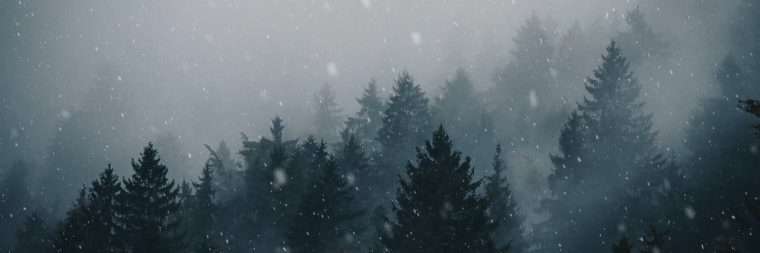 pauloranger's profile banner image