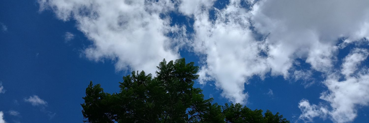 mopdr01de's profile banner image