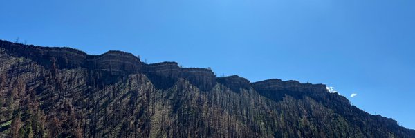 LarsenPort1 Profile Banner