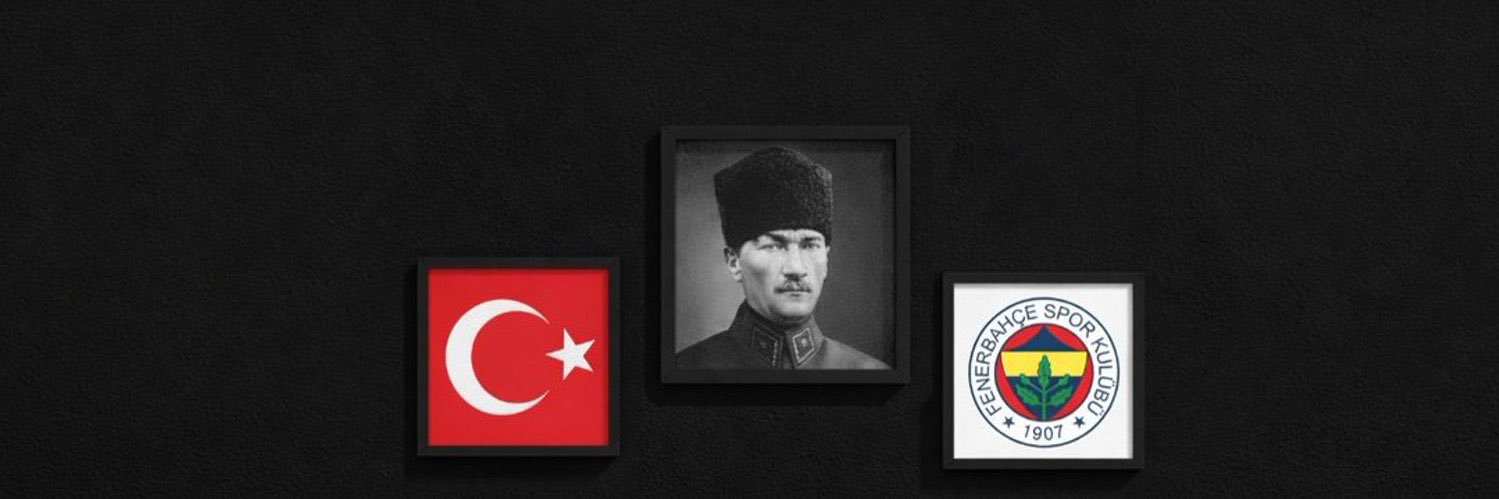 belinaydu's profile banner image