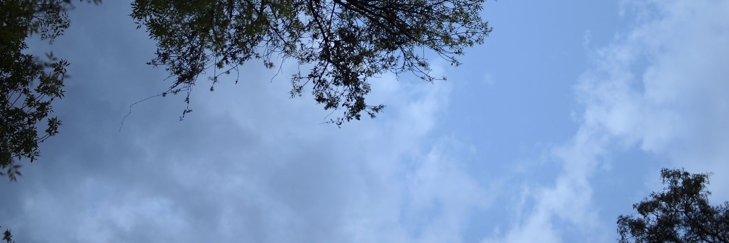sdesos's profile banner image