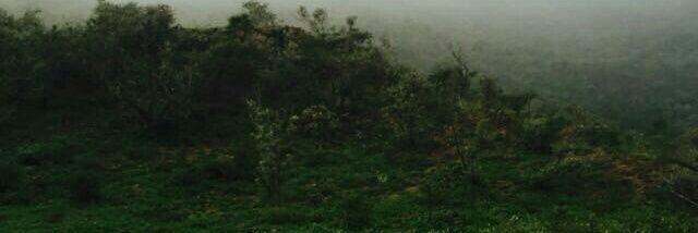 s7867d's profile banner image