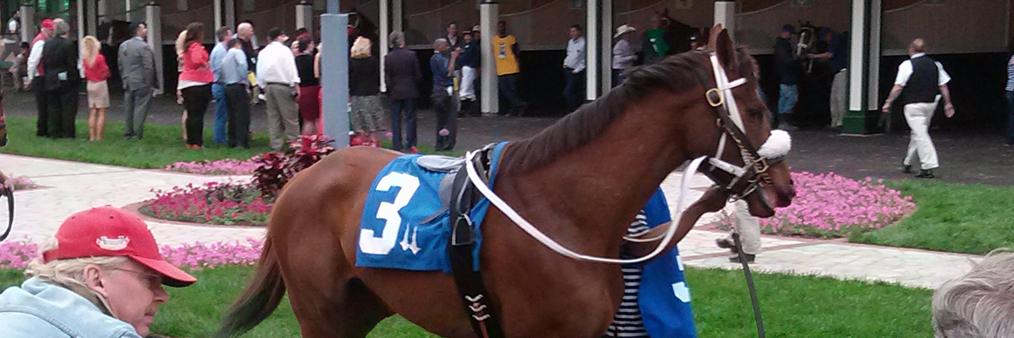 Across The Board - Russ banner