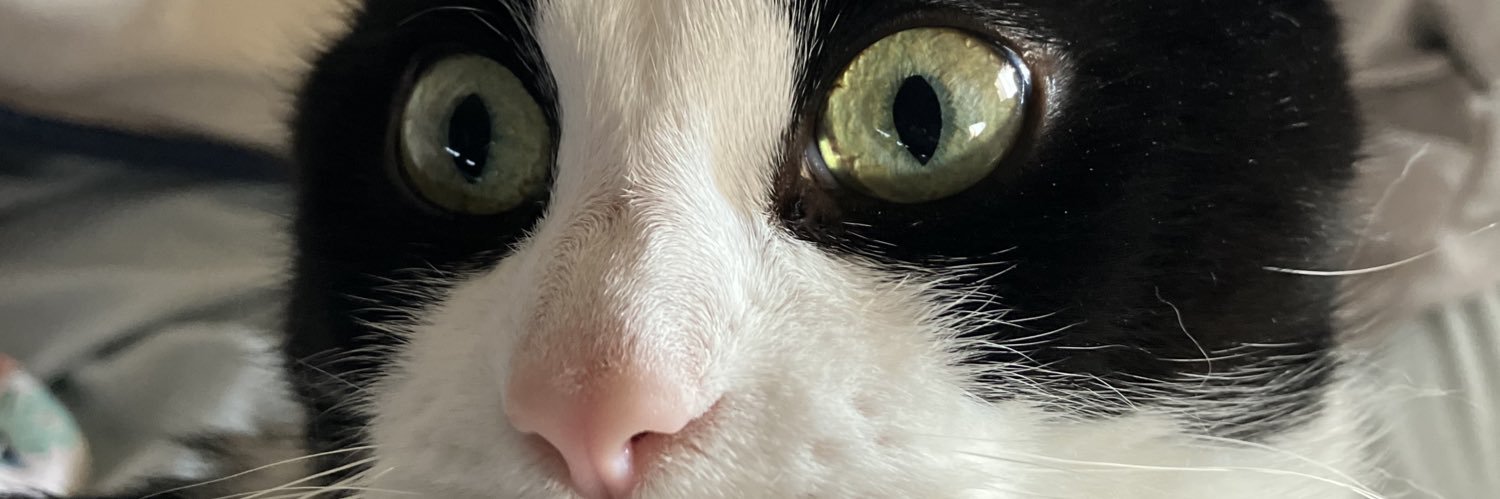 michael_41mil's profile banner image
