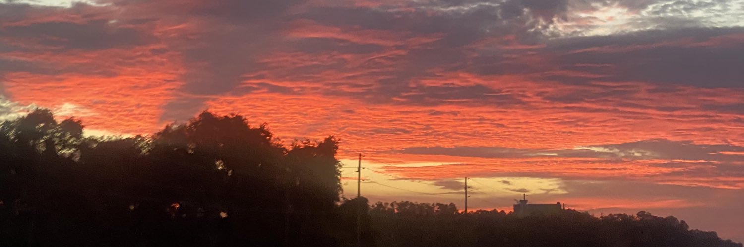 Just a redheaded nobody banner