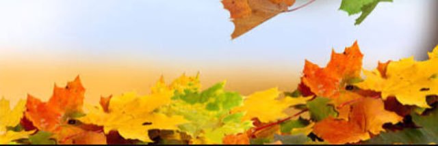 BazidiTd's profile banner image