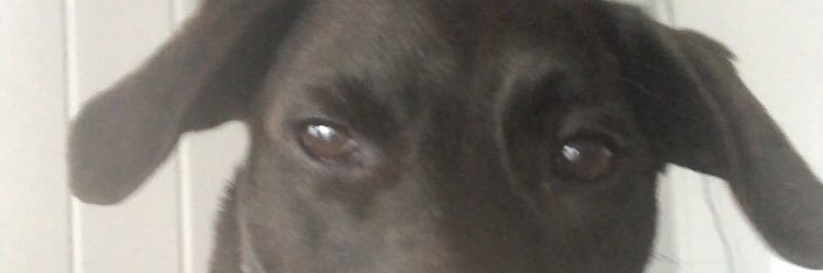 NotAnth0ny's profile banner image
