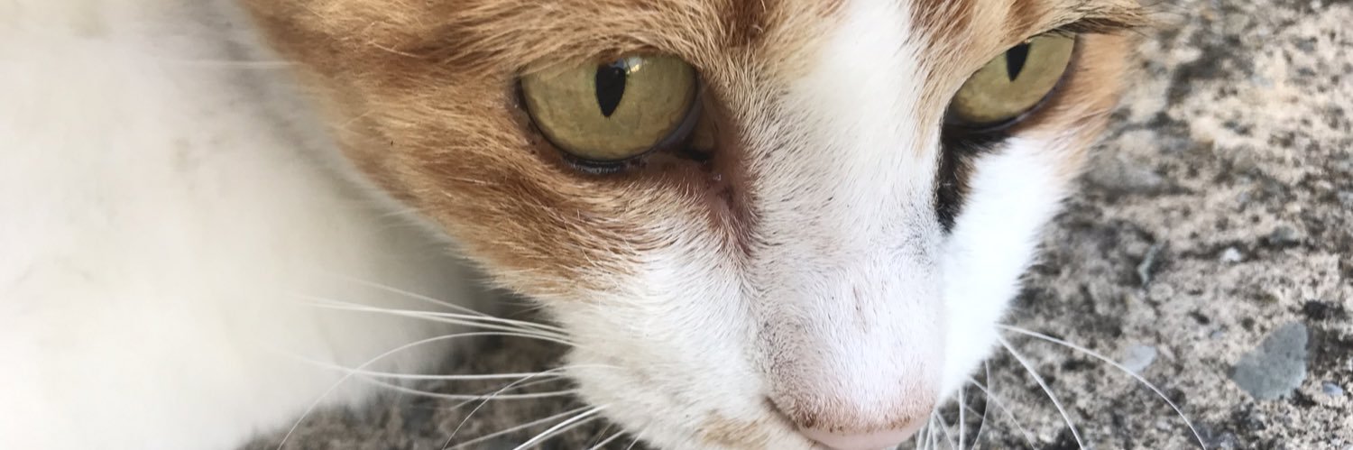 fwore0920's profile banner image