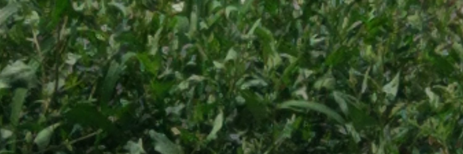 XetinNet's profile banner image