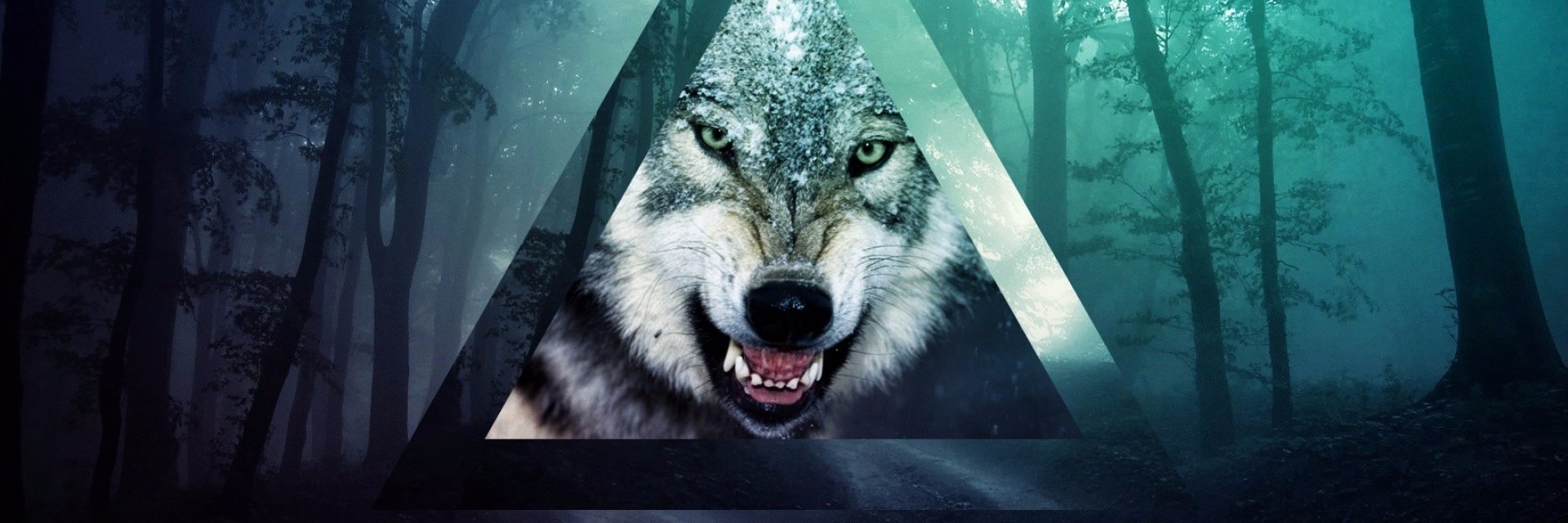 Adrigoesrawr's profile banner image