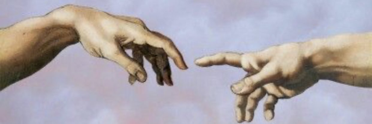 soficastieira's profile banner image