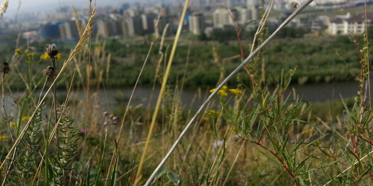 Sainbayars's profile banner image