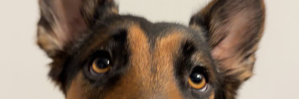 aritzypayen's profile banner image