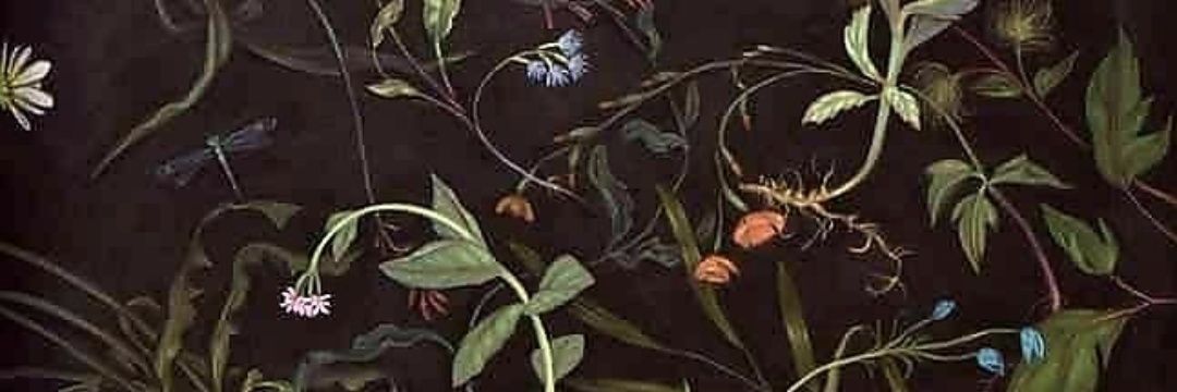 autumn__e's profile banner image