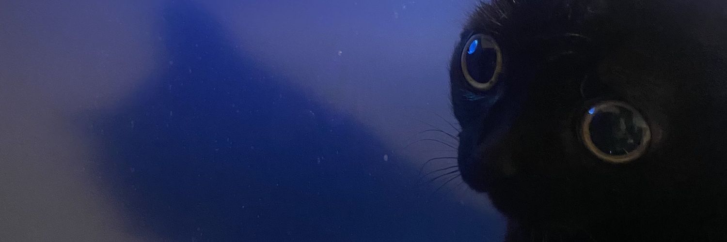 YoungKoksel's profile banner image