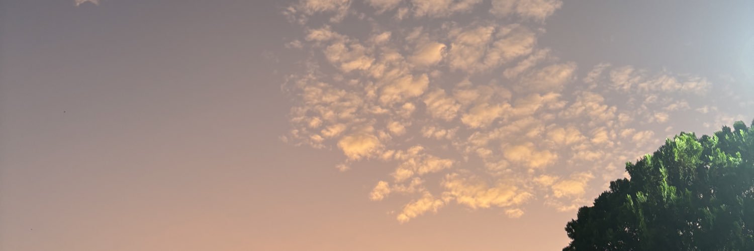 aumsswan's profile banner image