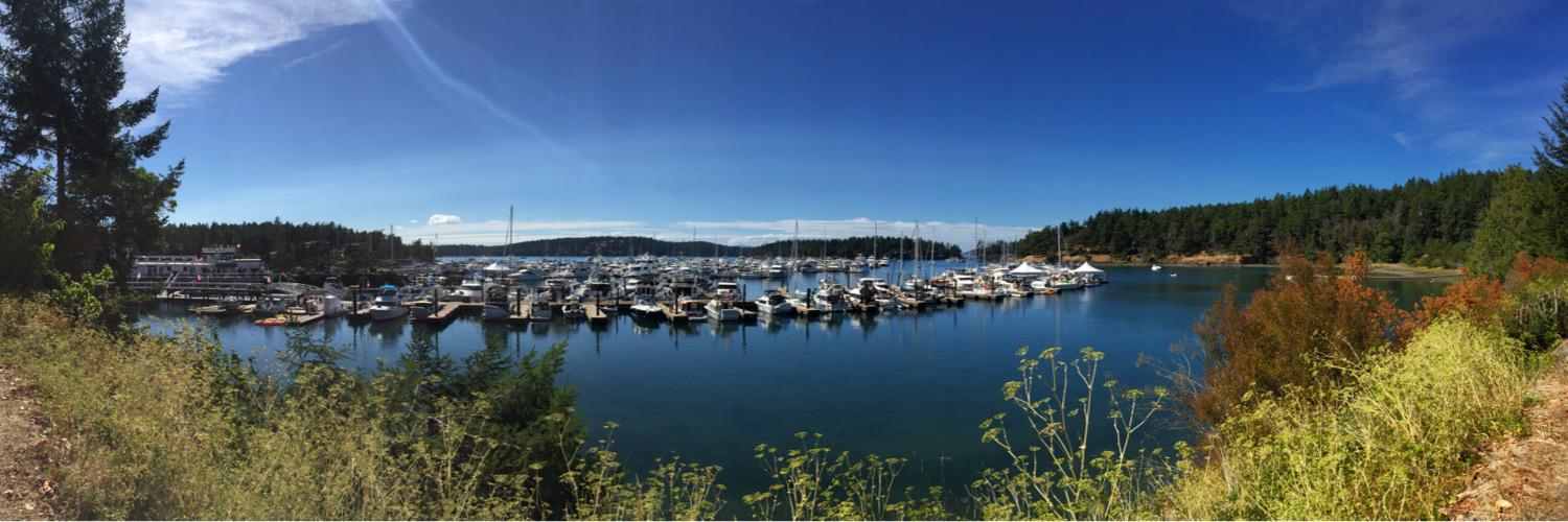 Troy Muljat CCIM/CPM banner