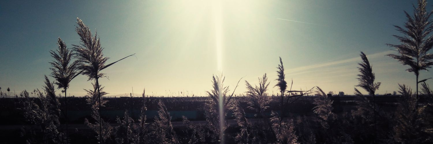 GemmaGN's profile banner image