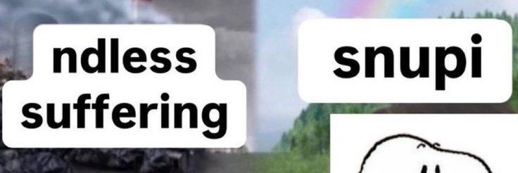 SHINYUslast's profile banner image