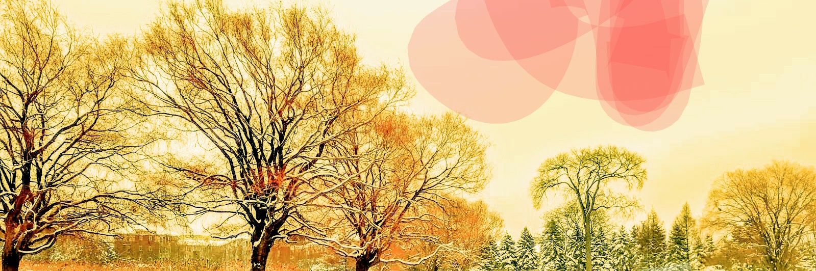 Helensbell's profile banner image