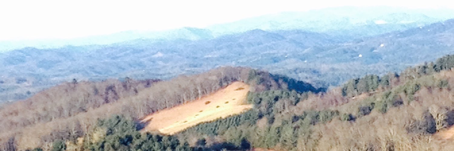 BargarBryson's profile banner image