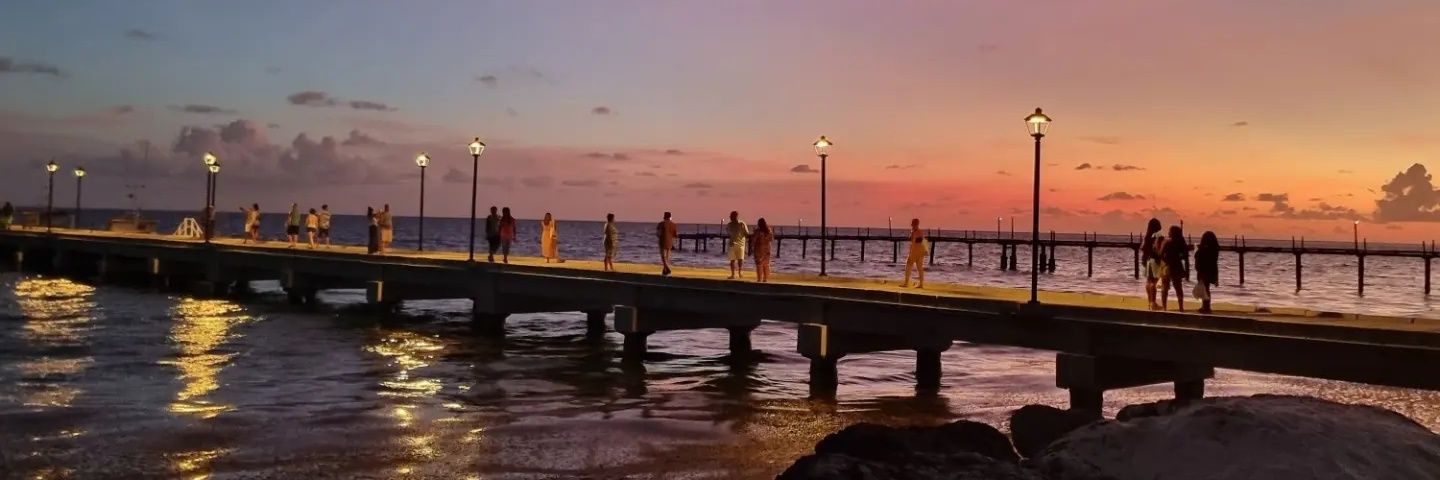 Lauriedl_'s profile banner image