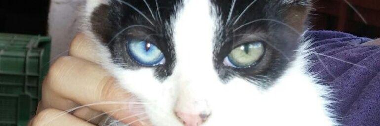 melyssuky's profile banner image