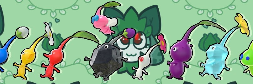 Saladed banner
