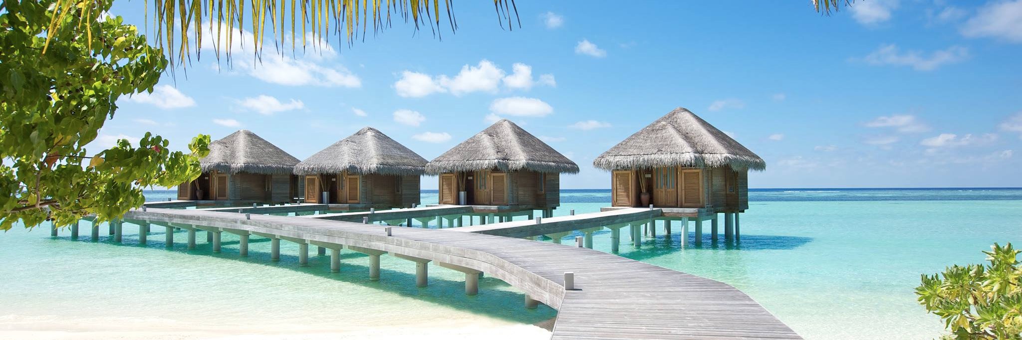 Tropical Holidays banner